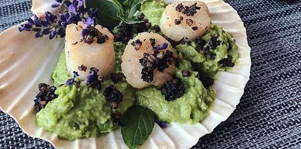 Clonakilty Blackpudding with scallops and pea puree